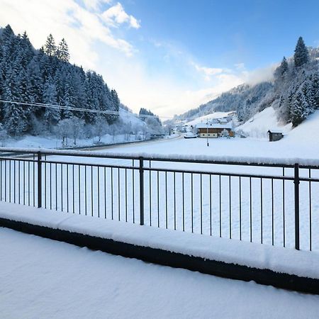 Chalet Schiederhof グロースアルル エクステリア 写真